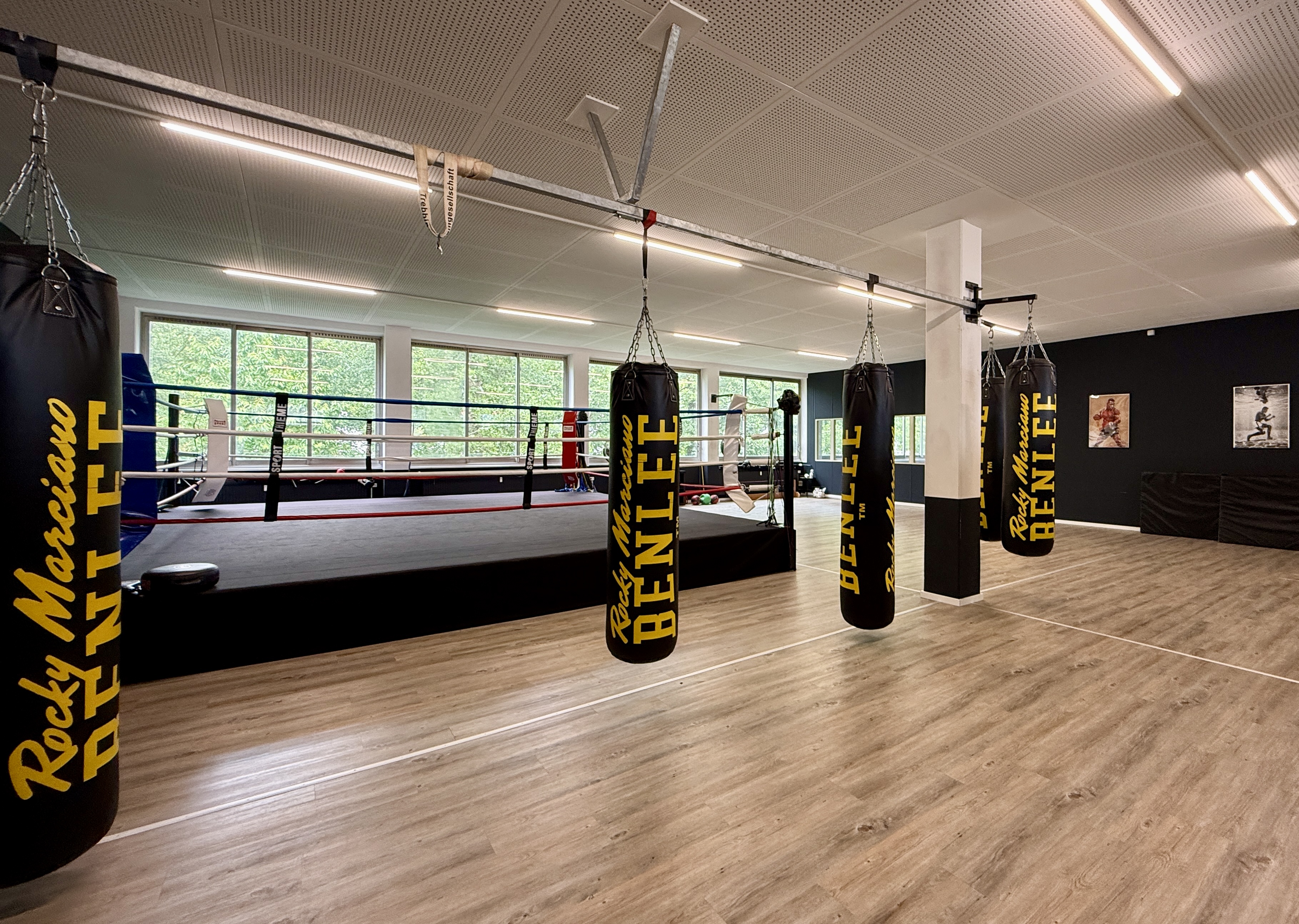 Fight Academy Studio Hinterland